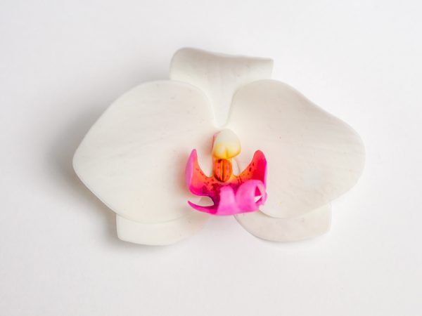 Orchidee aus Blütenpaste