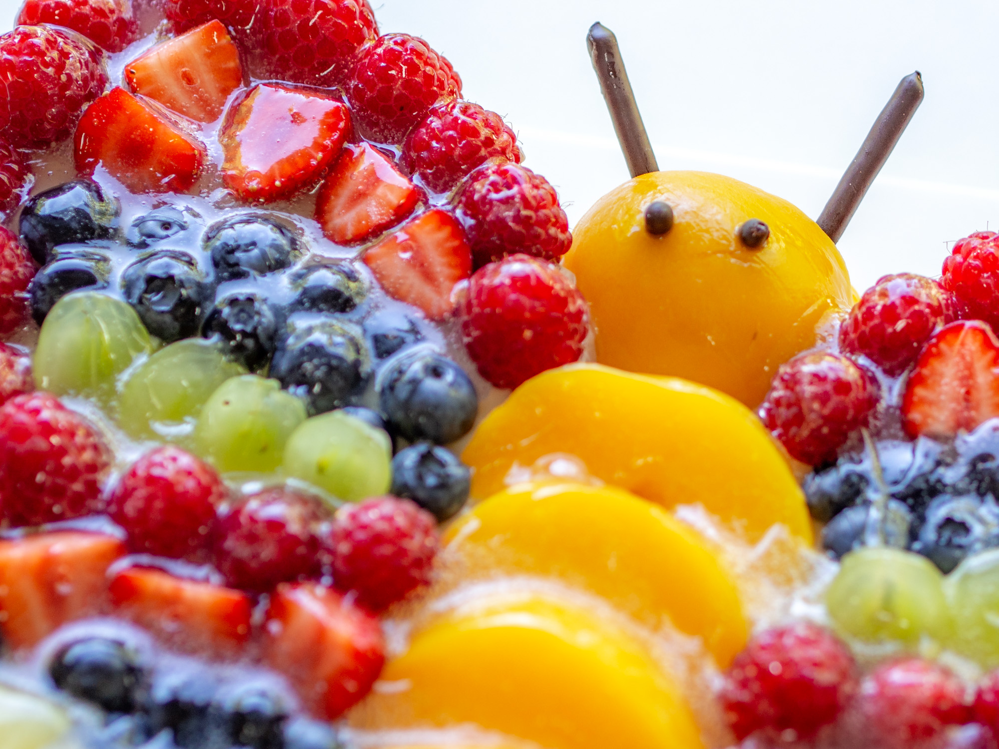 Bunter Schmetterlingstorte Mit Viel Obst Dekoriert Perfekt Fur Kinder