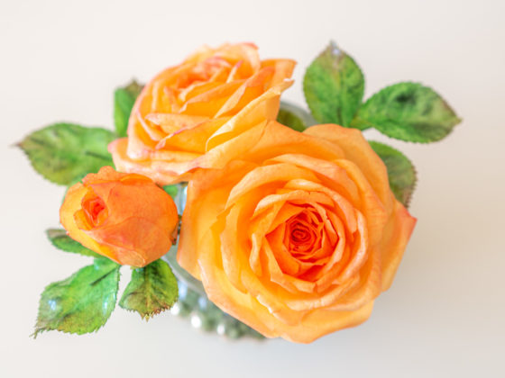 Anleitung für eine Wafer Paper Rose mit Blättern – Wafer Paper Tricks Teil 3 {Video}