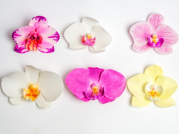 Orchidee aus Blütenpaste